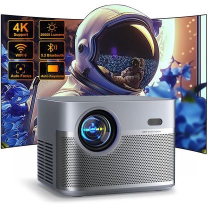 VISPPL Projector