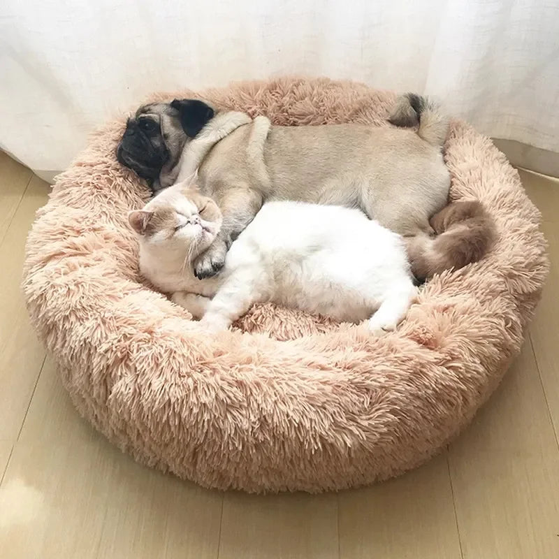 Pet Luxury Bed