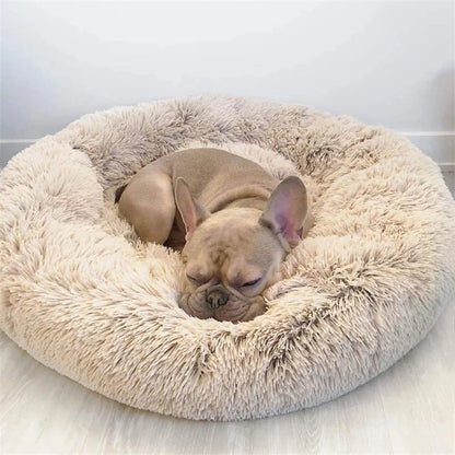 Pet Luxury Bed